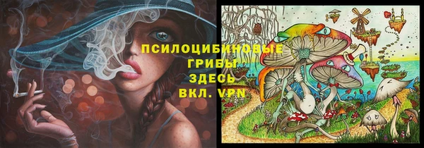 МДПВ Няндома