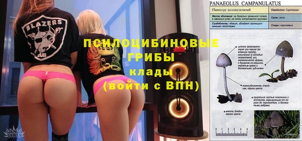 сатива Нягань