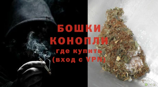 сатива Нягань