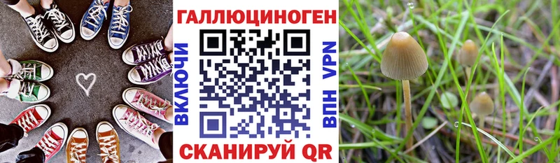Купить закладки  Родники  Псилоцибиновые грибы мицелий 