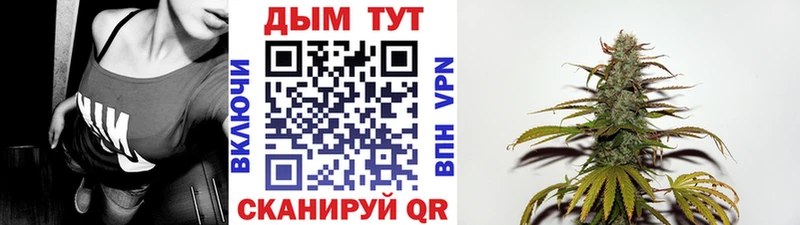 Каннабис Amnesia  Купить  Родники 